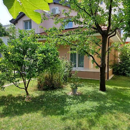 Villa Tamara With Garden And River View - Free Private Parking - Garage Mostar Dış mekan fotoğraf