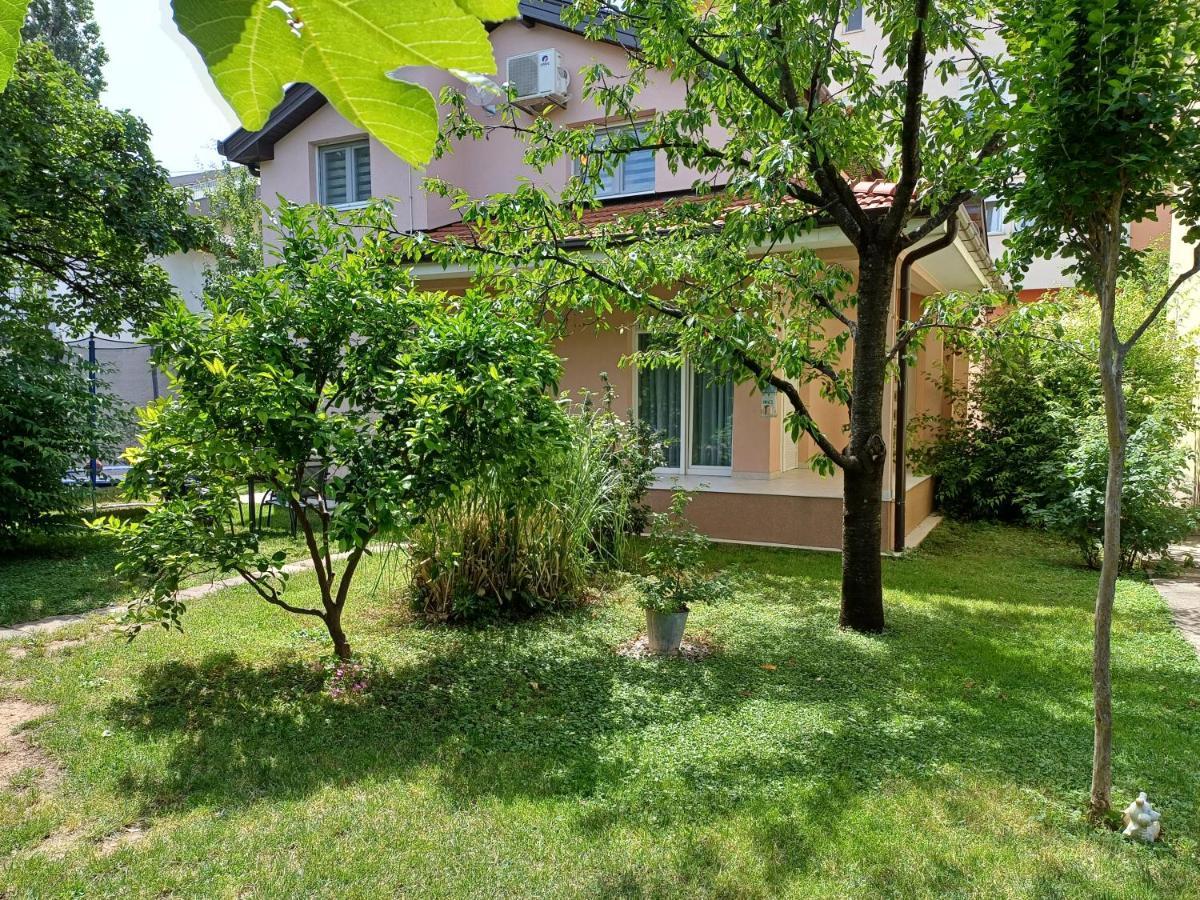 Villa Tamara With Garden And River View - Free Private Parking - Garage Mostar Dış mekan fotoğraf